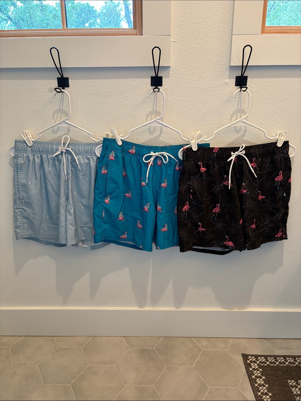 (Men’s S) Hollister Swim Trunks Lot